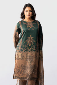 Women's salwar kameez dupatta