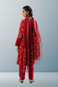 Women's SKD